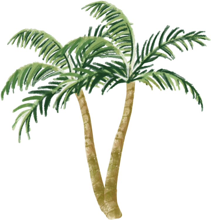 Summer Palm Tree Illustration
